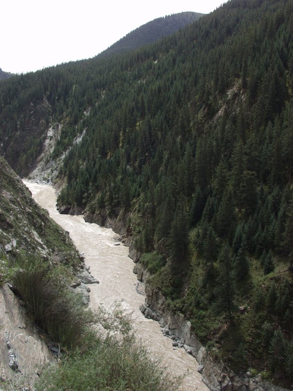 o_p8229583.jpg