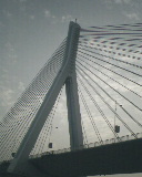 o_IMG0244A.jpg