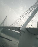 o_IMG0245A.jpg