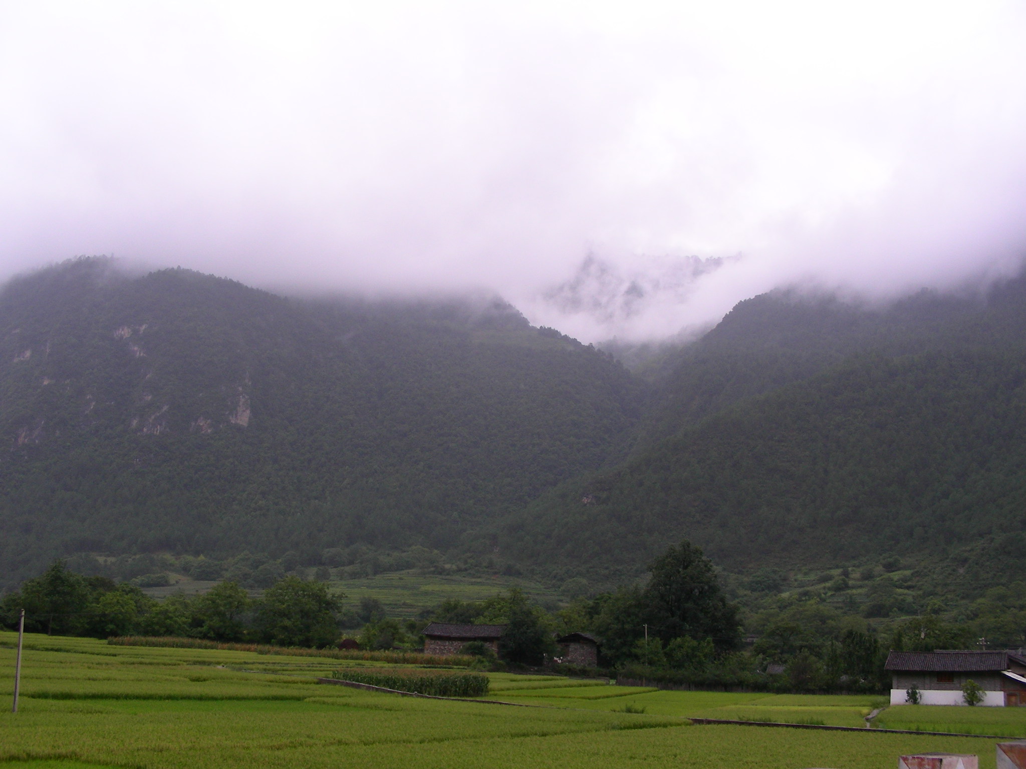 DSCN2278.JPG