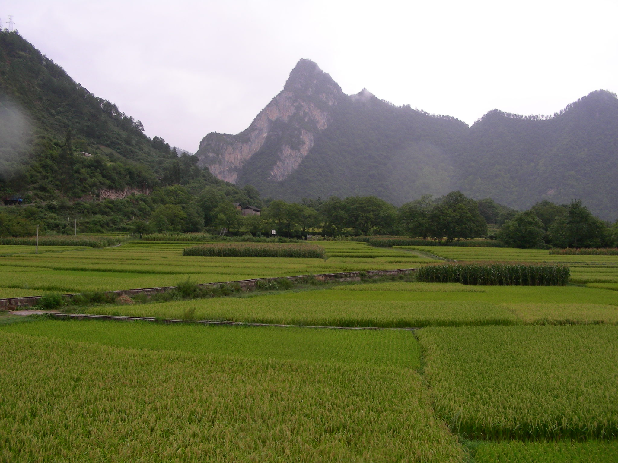DSCN2285.JPG
