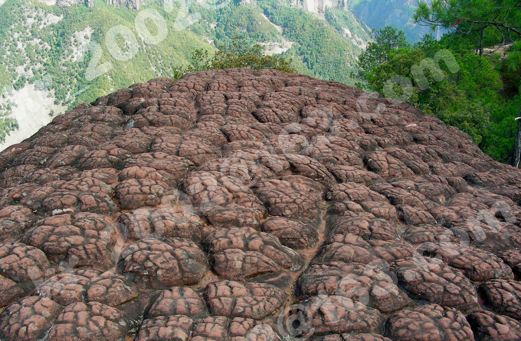 千龟山4.jpg