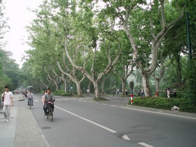 杭州－马路