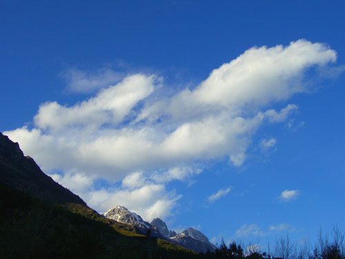 CIMG0601.JPG