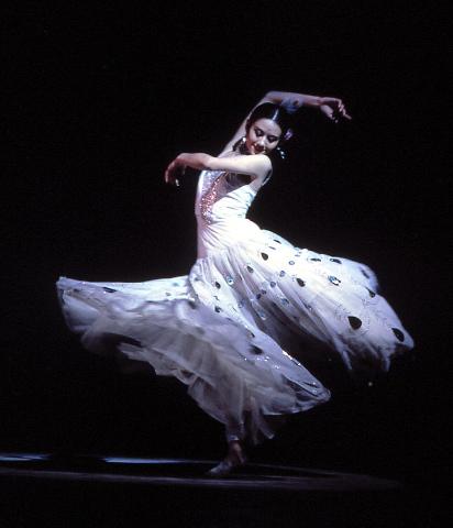 雀之灵--著名舞蹈家杨丽萍